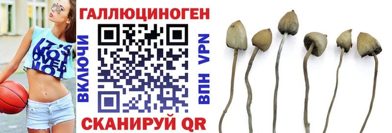 Галлюциногенные грибы GOLDEN TEACHER  Ульяновск 